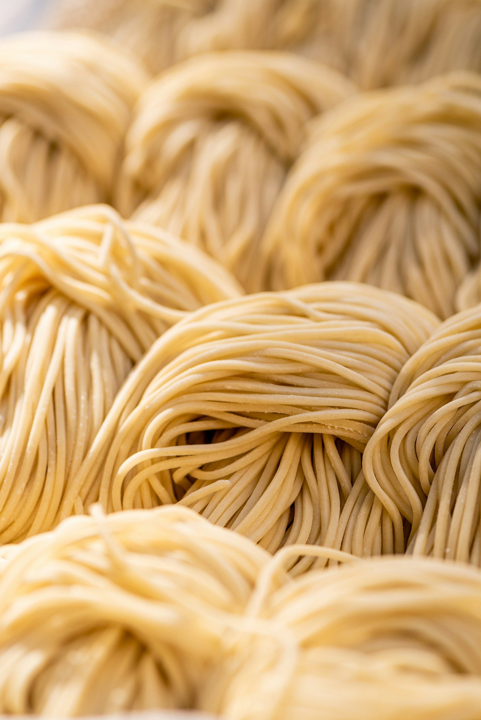 Tagliatelles fraîches